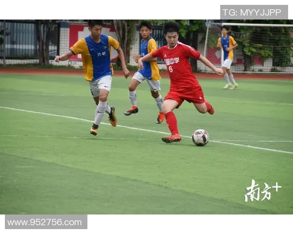 足球球星语文书：从绿茵场到课堂，探寻运动员背后的文化魅力